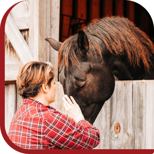 Volunteers grooming horses at Red Clay Ranch