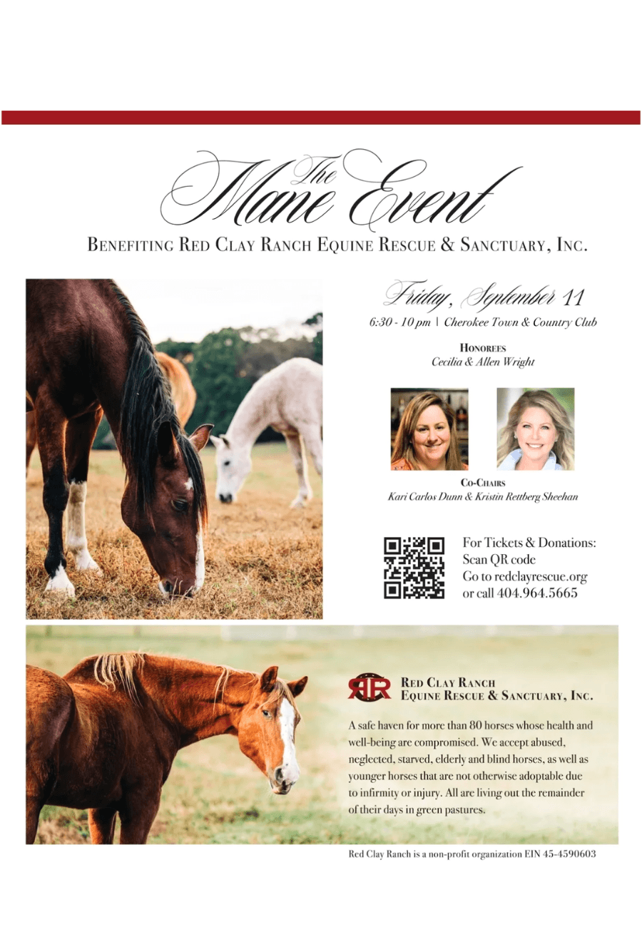 Mane Event: The Year of the Horse photo