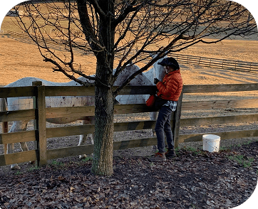 Life at Red Clay Ranch — photo 10