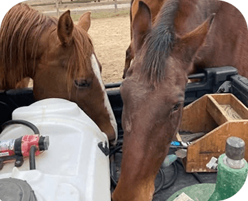 Life at Red Clay Ranch — photo 2
