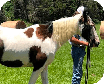 Life at Red Clay Ranch — photo 21