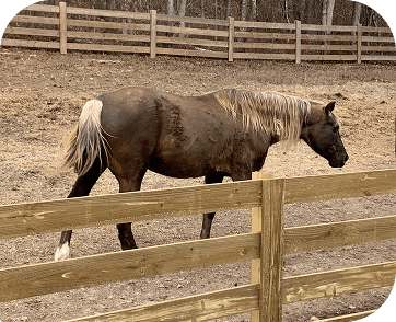 Life at Red Clay Ranch — photo 25