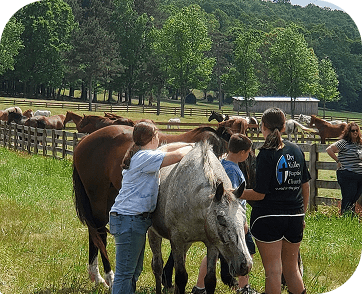 Life at Red Clay Ranch — photo 30