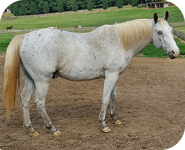Life at Red Clay Ranch — photo 34
