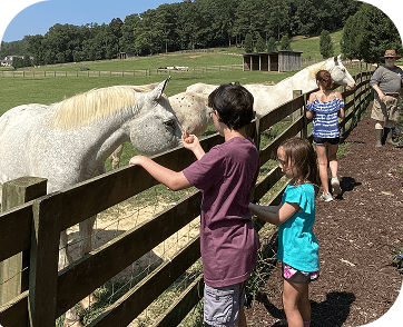 Life at Red Clay Ranch — photo 36