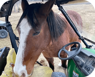 Life at Red Clay Ranch — photo 6