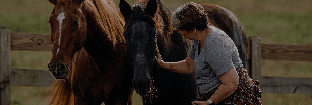 A rescued horse at Red Clay Ranch